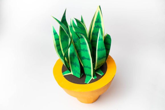 3D Plant - Snake Succulent Embroidery Review